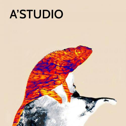 A'Studio - Хамелеоны