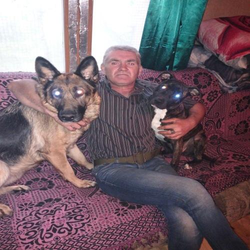 A3$ - С Днюхой Димка
