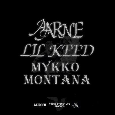 Aarne feat. Lil Keed & Mykko Montana - Purge