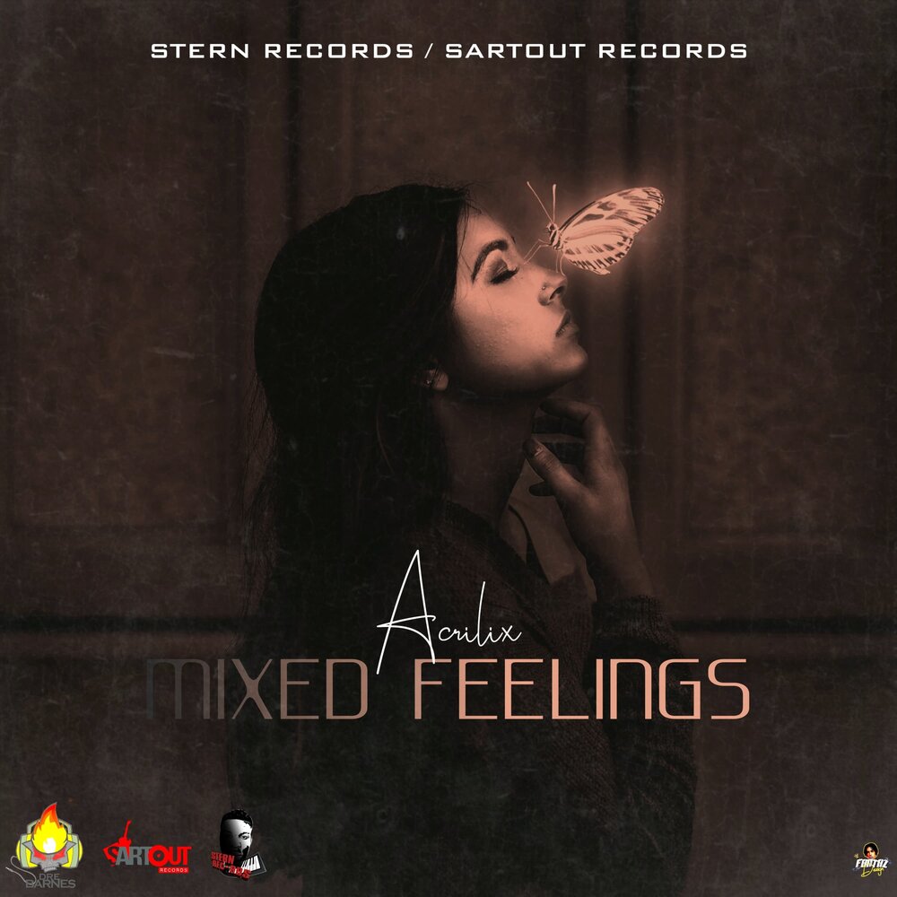 Mixed Feelings - Acrilix