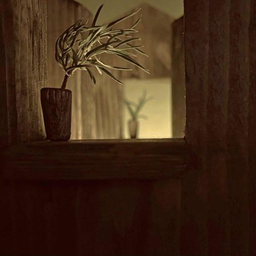 Acytota - Nit (Rework)