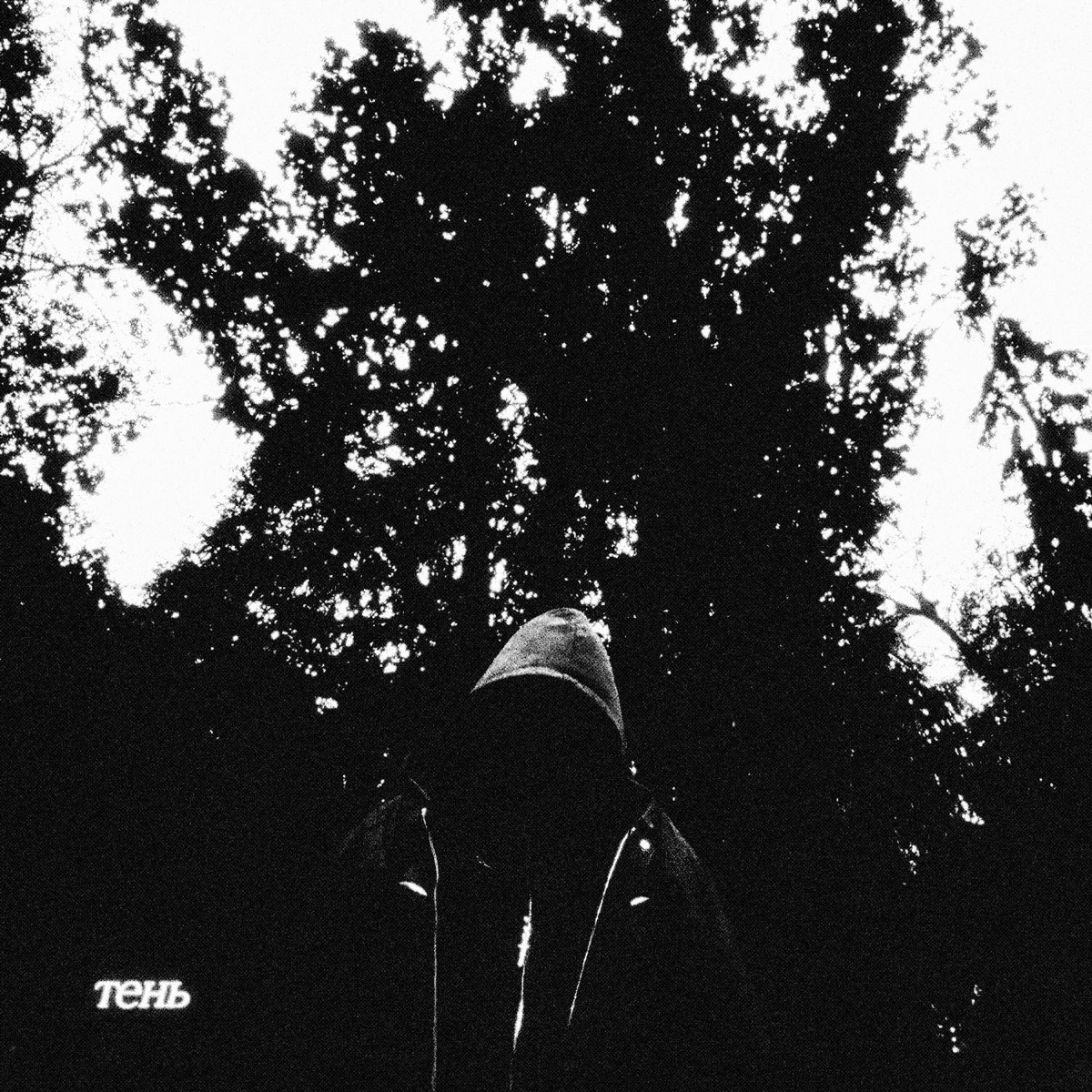 Тень - Adetue
