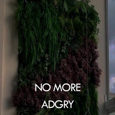 Adgry - No more