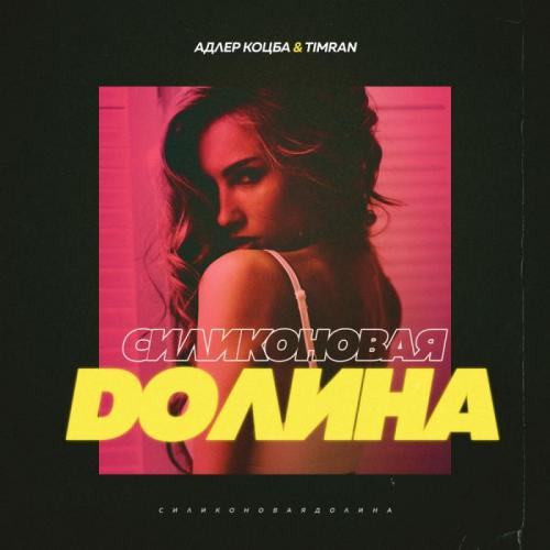 Силиконовая долина - Адлер Коцба & Timran