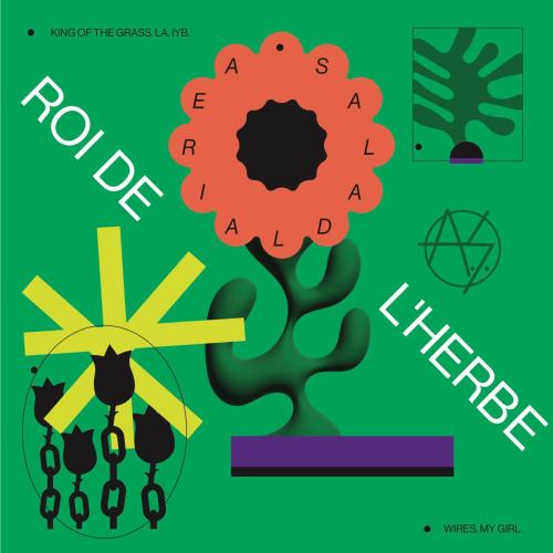 Aerial Salad - King of the Grass