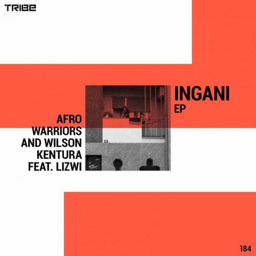 Afro Warriors & Wilson Kentura - Ingani (feat. Lizwi)