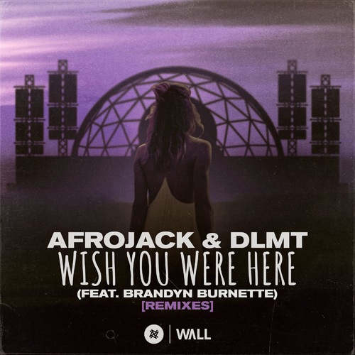 Afrojack & DLMT feat. Brandyn Burnette - Wish You Were Here (Dave Summit & CastNowski Remix)