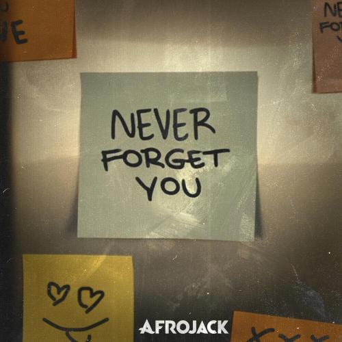 Never Forget You - Afrojack