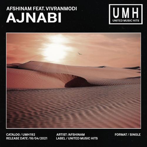 Afshinam feat. Vivranmodi - Ajnabi