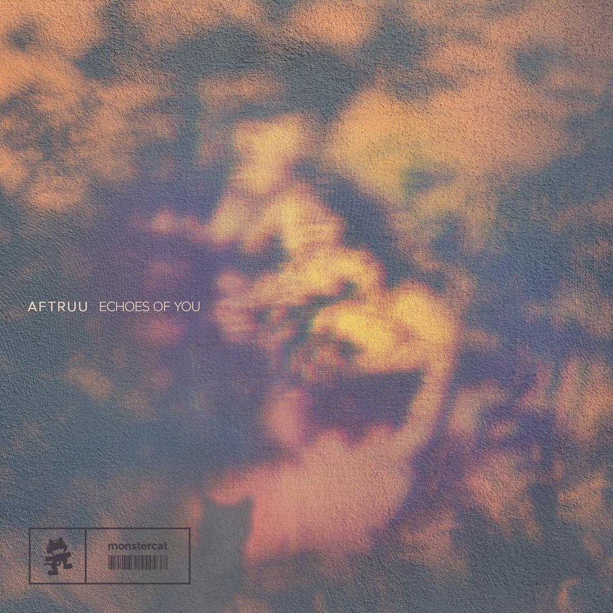 Echoes Of You - Aftruu