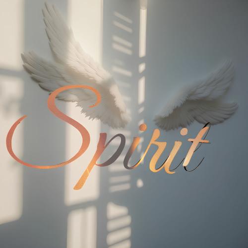 Agent Z - Spirit