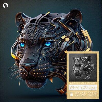 Agus Zack, Toni Costanzi - What You Like