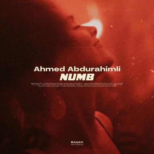 Ahmed Abdurahimli - Numb