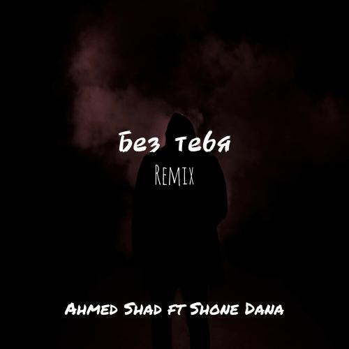 Ahmed Shad, Shone Dana - Без тебя (Remix)