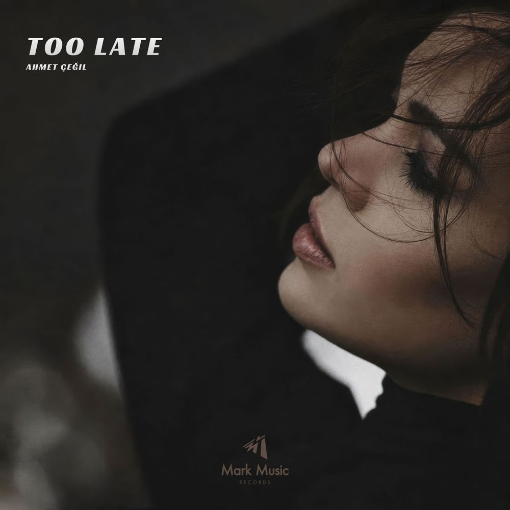 Too Late - Ahmet Çeğil