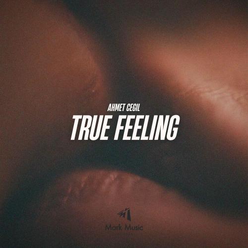 Ahmet Çeğil - True Feeling