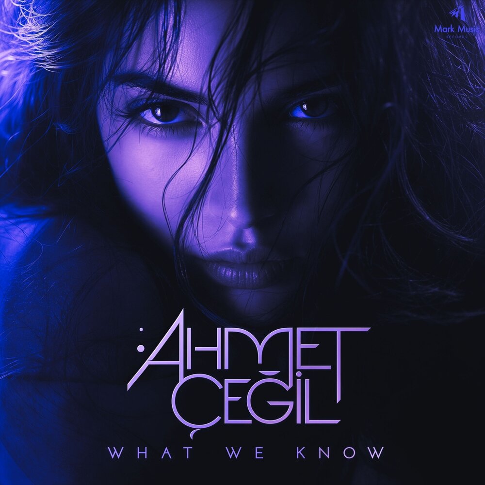 What We Know - Ahmet Çeğil