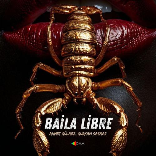 Ahmet Gülmez & Gürkan Şaşmaz - Baila Libre