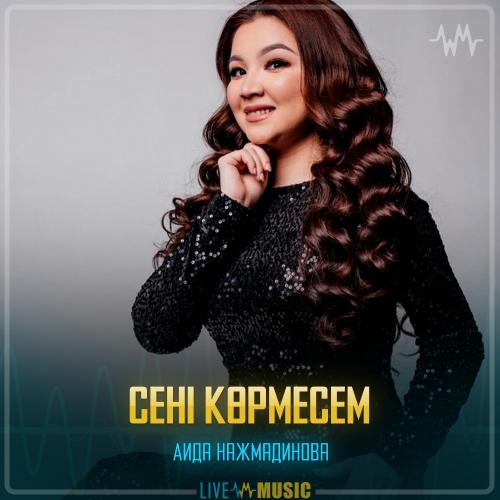 Аида Нажмадинова - Сені көрмесем