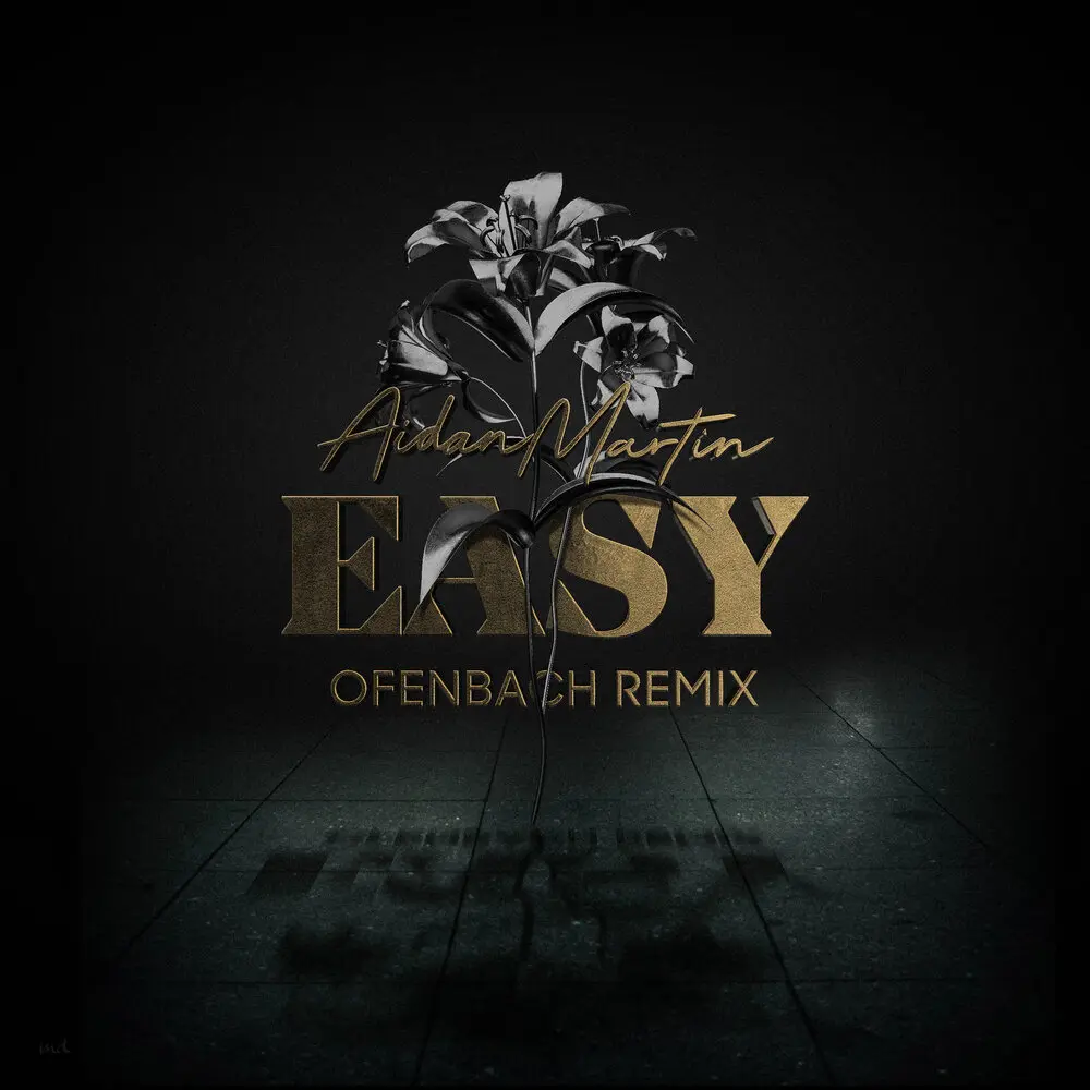 Easy (Ofenbach Remix) - Aidan Martin, Ofenbach