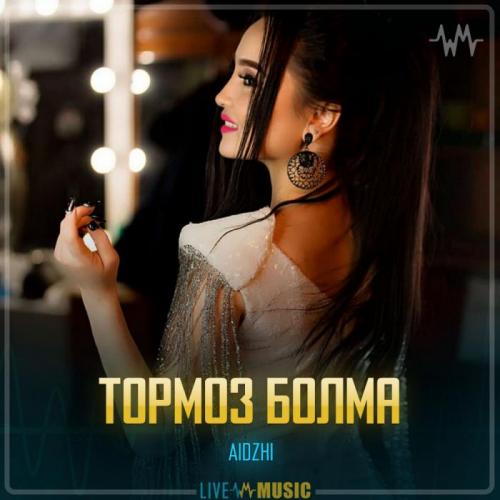 AIDZHI - Тормоз болма