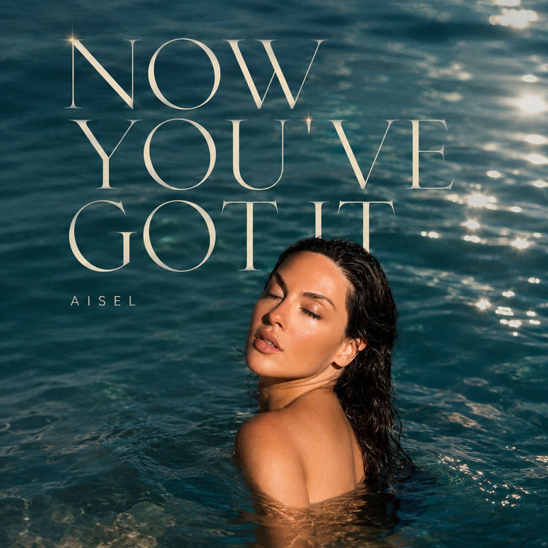 Now You've Got It - AISEL