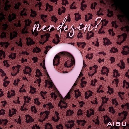 nerdesin - aisu