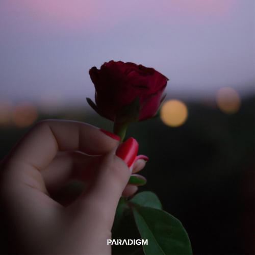 Rose - AIWI
