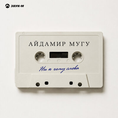 Айдамир Мугу - Ни к чему слова