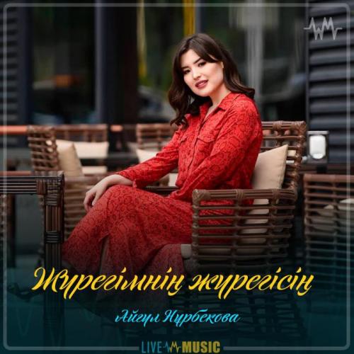 Айгүл Нұрбекова - Жүрегімнің жүрегісің