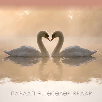 Парлап яшэсэлэр ярлар - Айрат Сафин, DJ Radik