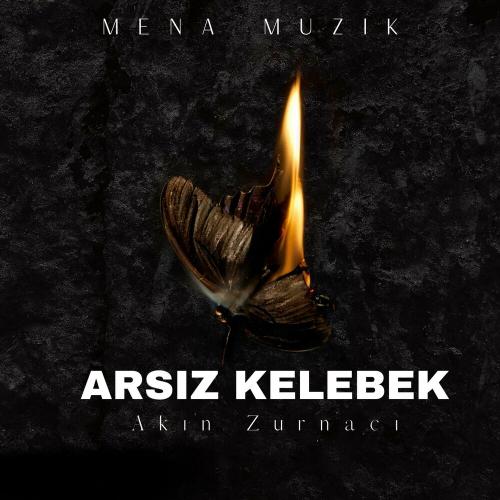 Akın - Arsiz Kelebek