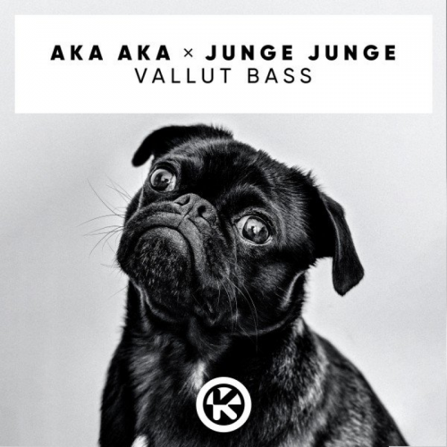 Aka Aka & Junge Junge - Vallut Bass