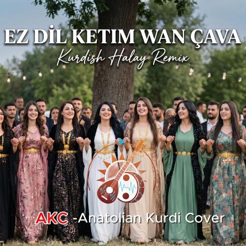 Dil Ketim Van Çava - AKC-Anatolian Kurdi Cover