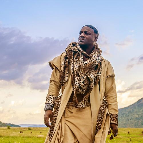 Akon feat. Amirror - Prolly Cut (Amapiano)