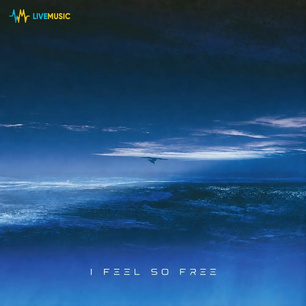 I Feel So Free - AKSAY
