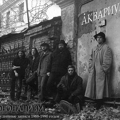 Молодые львы Бонус - Аквариум