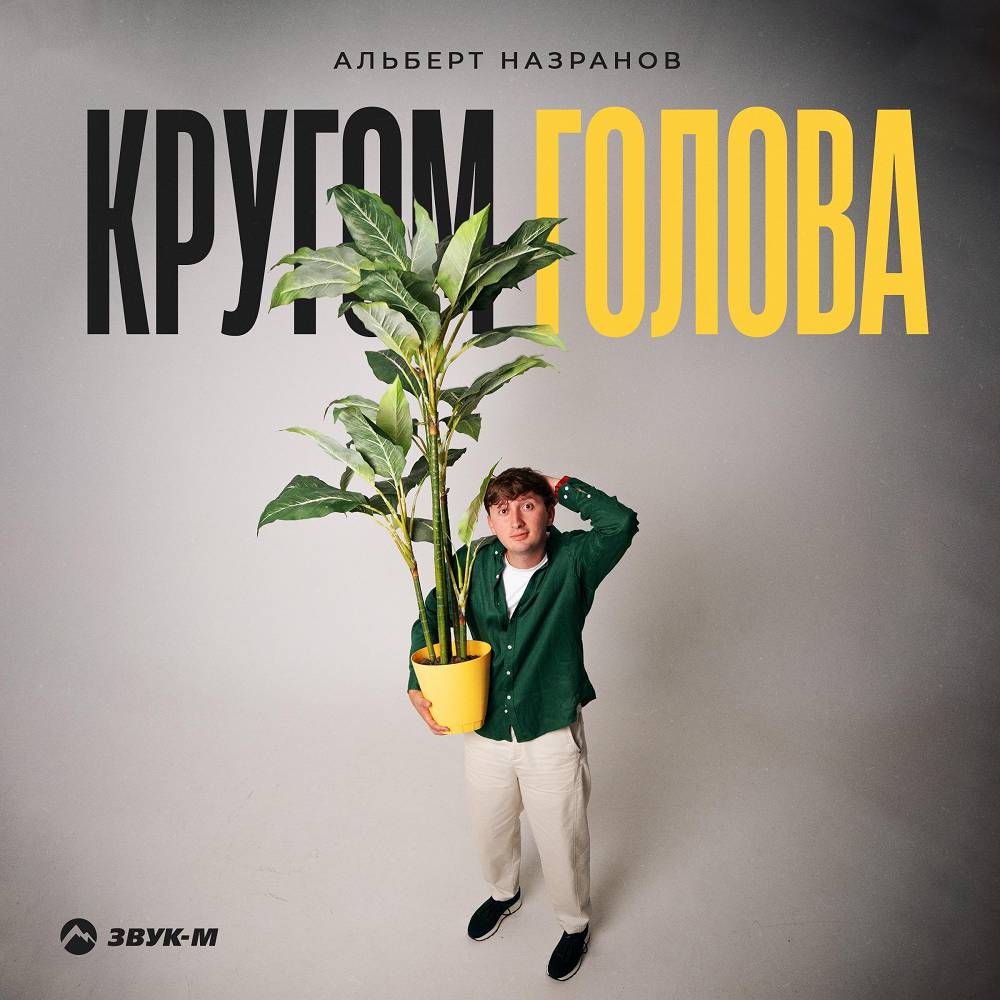 Кругом голова - Альберт Назранов
