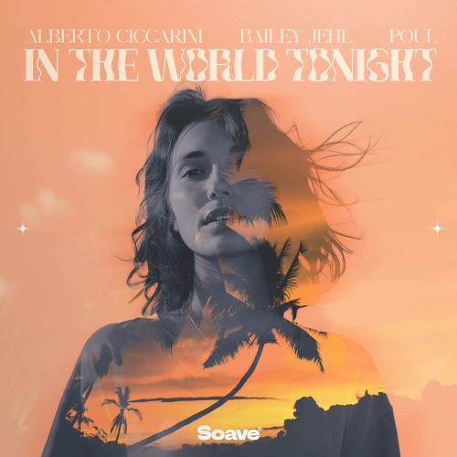 Alberto Ciccarini feat. Bailey Jehl & Poul - In The World Tonight