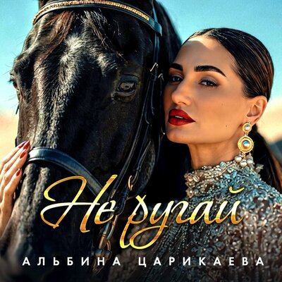 Не ругай - Альбина Царикаева