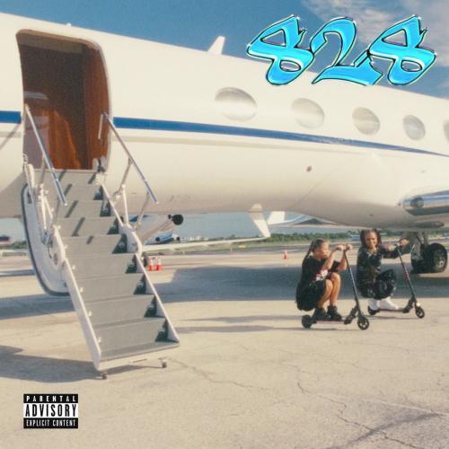 Aleesha feat. Emilia - 828