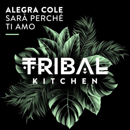 Sarà Perché Ti Amo - Alegra Cole