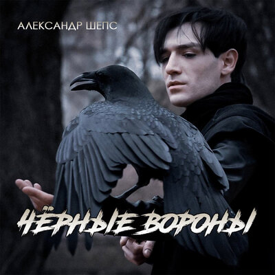 Чёрные вороны - Александр Шепс