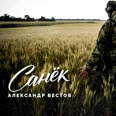 Александр Вестов - Санёк
