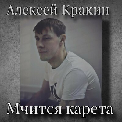 Мчится карета - Алексей Кракин