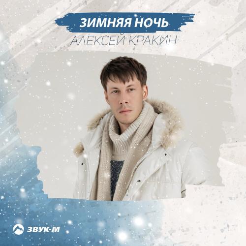 Алексей Кракин - Зимняя ночь
