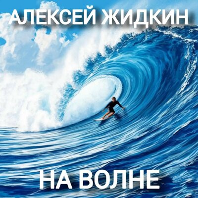 На волне - Алексей Жидкин