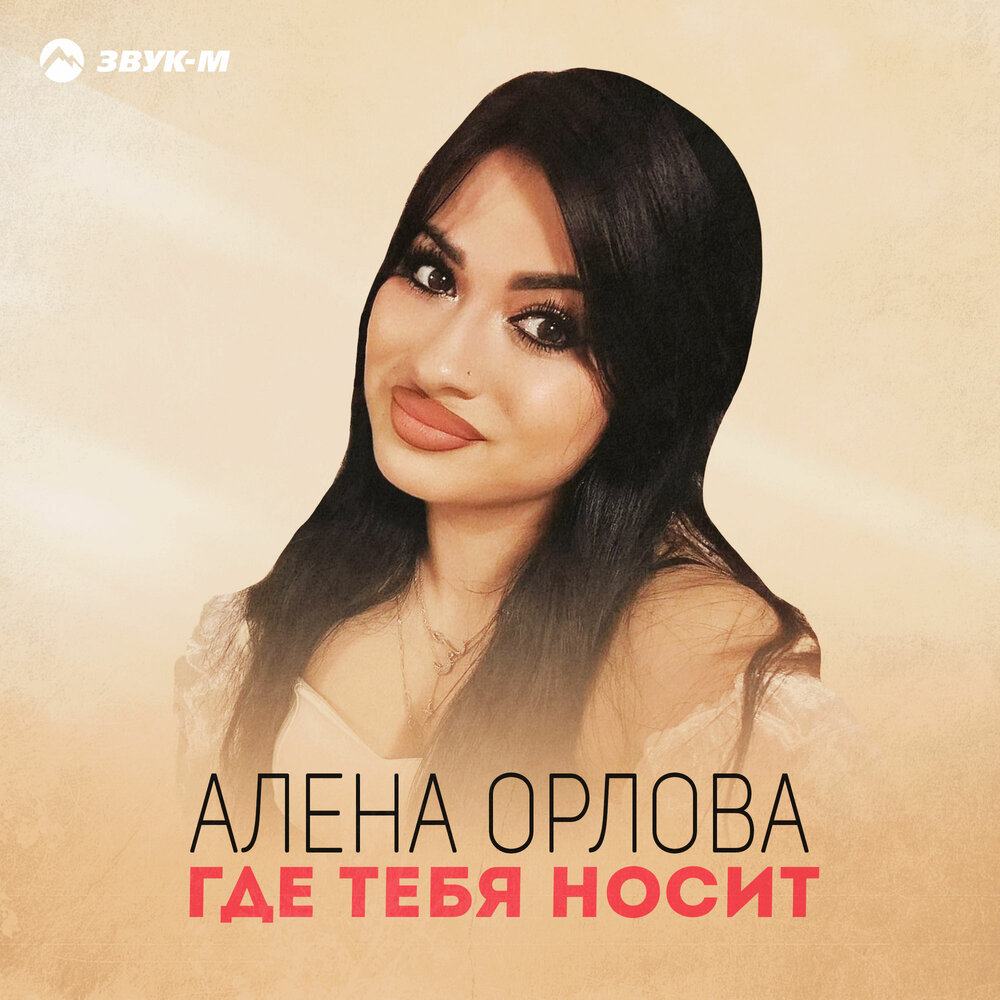 Где тебя носит - Алена Орлова