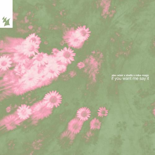 Alex Adair, SHELLS & Mike Mago - If You Want Me Say It