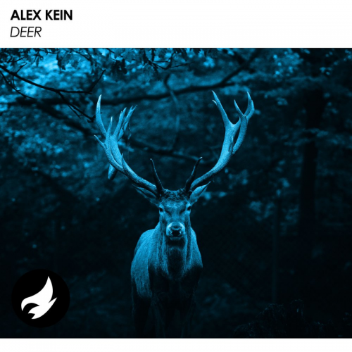 Alex Kein - Deer